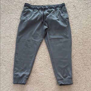 Womens Gray Jogger Pants